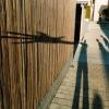 cycling to work - last post by Miles Anderson