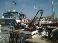 Marine Institute Students on SeaWatch - SharkBoat 13