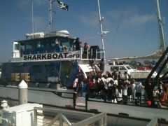 Marine Institute Students on SeaWatch - SharkBoat 12