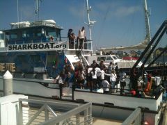 Marine Institute Students on SeaWatch - SharkBoat