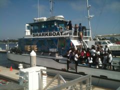 Marine Institute Students on SeaWatch - SharkBoat 11