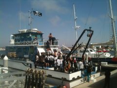 Marine Institute Students on SeaWatch - SharkBoat 14