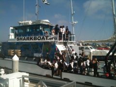 Marine Institute Students on SeaWatch - SharkBoat 10