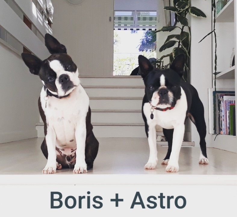 Boris + Astro.jpg