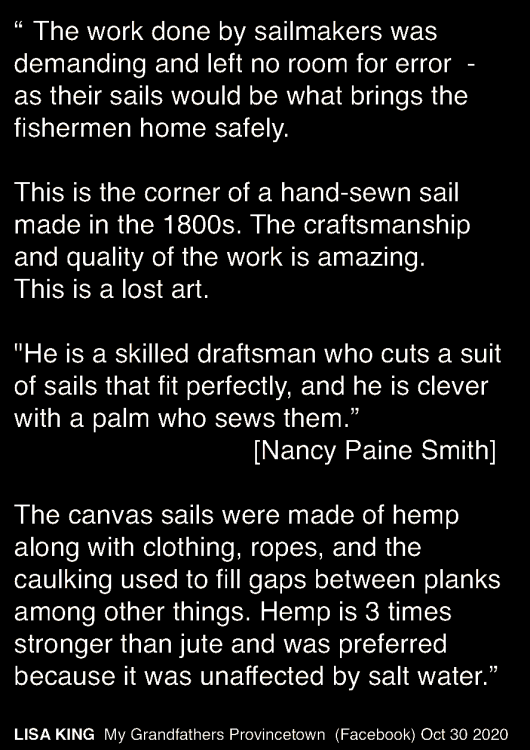 Lisa King quote .png